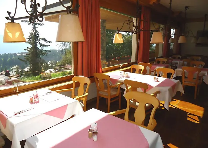 Hotel Grand Du Parc Crans-Montana